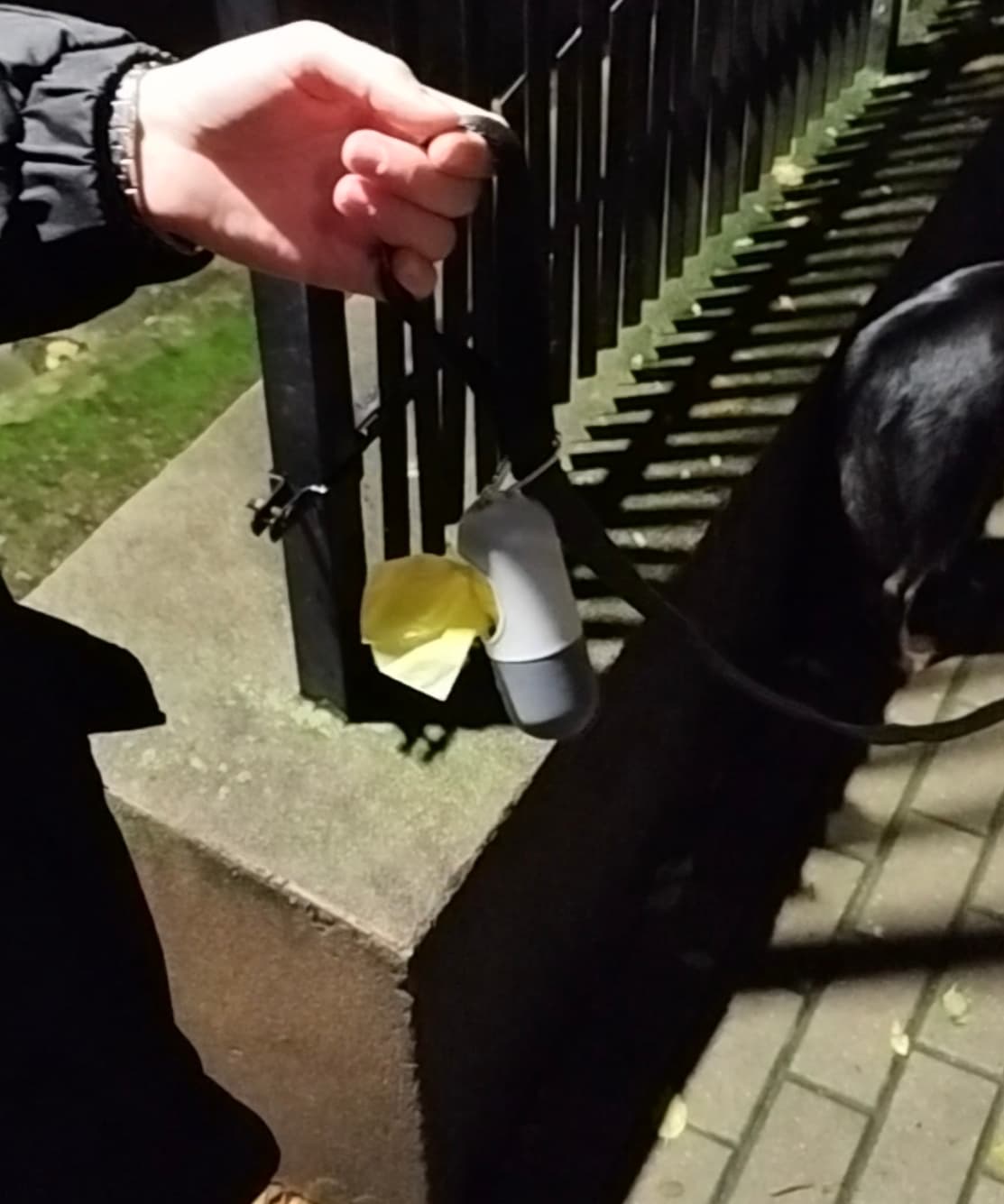 Przenośny dozownik biodegradowalnych woreczków z lampką LED 🐾