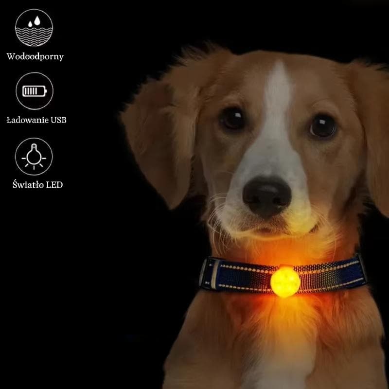 Wodoodporna obroża LED USB przeciwzagubieniowa dla zwierząt 🐾