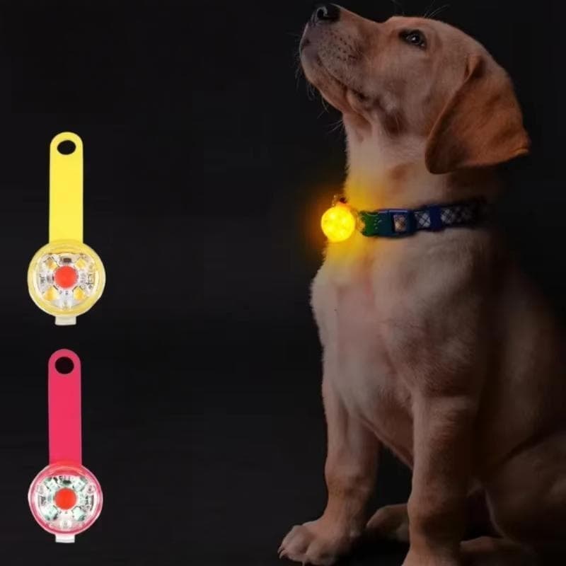 Wodoodporna obroża LED USB przeciwzagubieniowa dla zwierząt 🐾